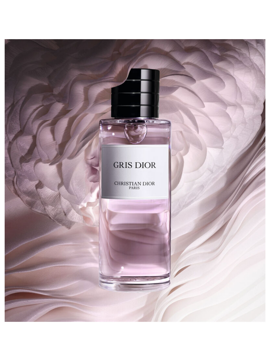 Christian Dior Gris Dior