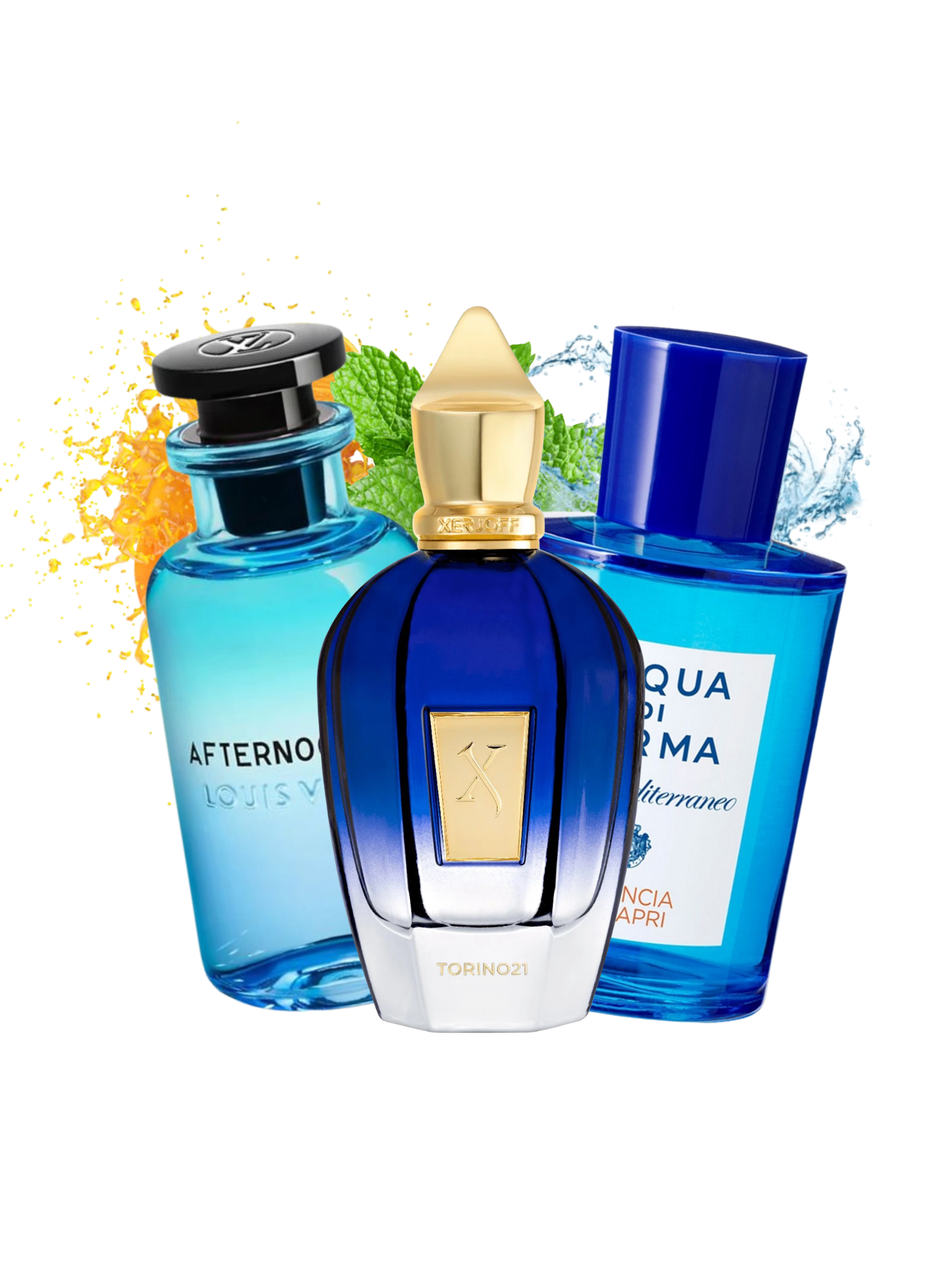 Niche Citrus fragrance sample pack