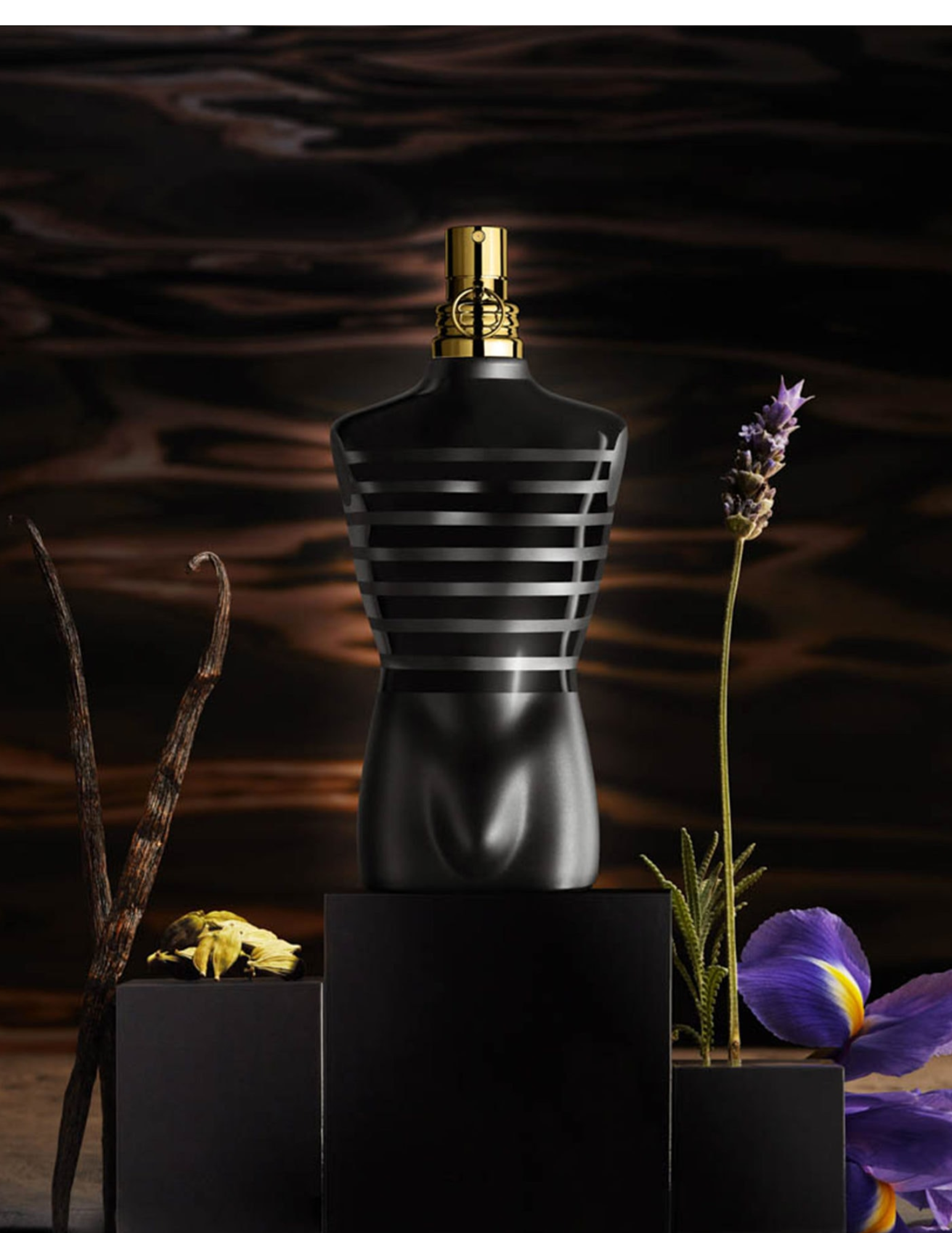 Jean Paul Gaultier Le Male Le Parfum